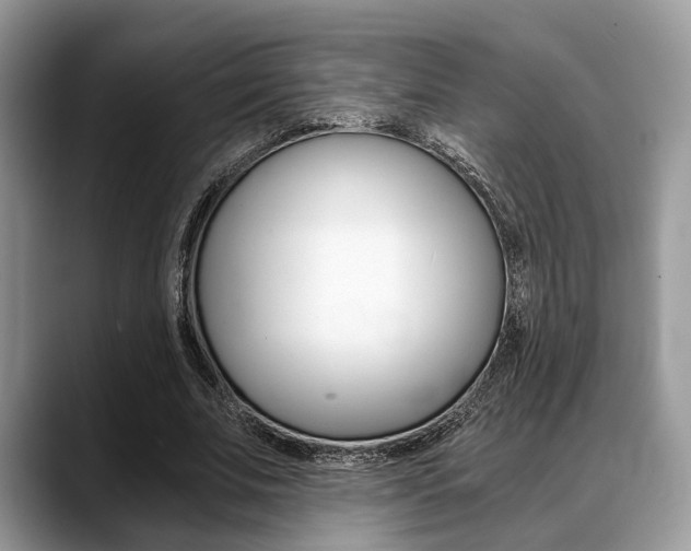 X0000088890679200706080807