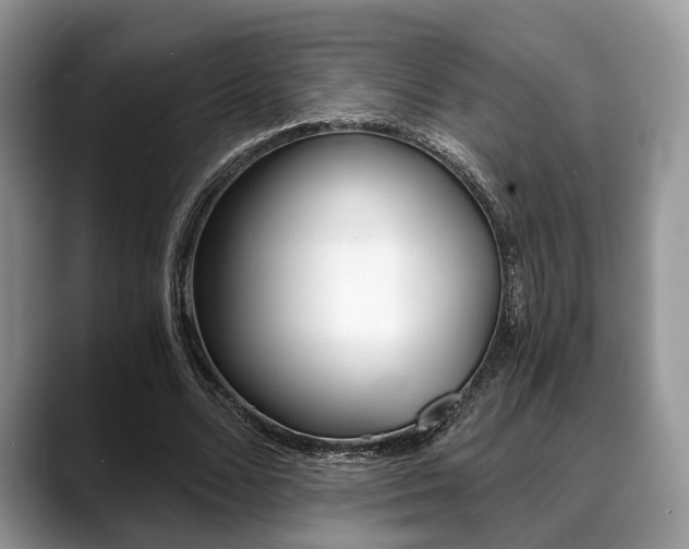 X0000088890680200706080807
