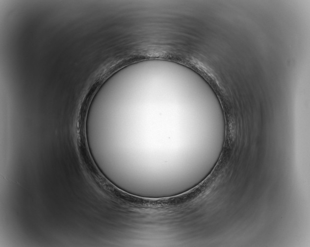 X0000088890682200706080807