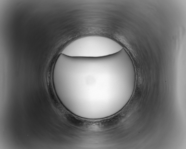 X0000088890683200706080807