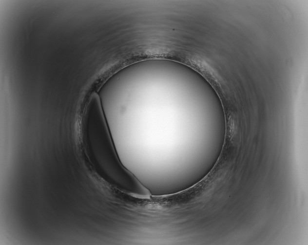 X0000088890684200706080807