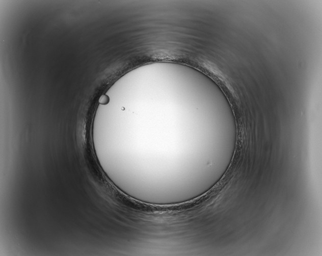 X0000088890686200706080807