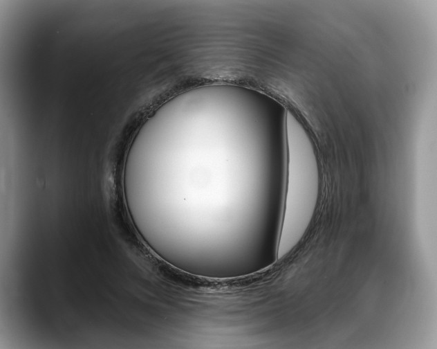 X0000088890688200706080807