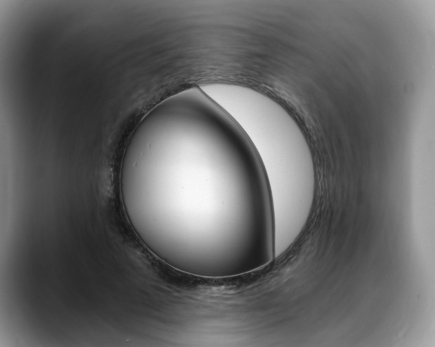 X0000088890689200706080807