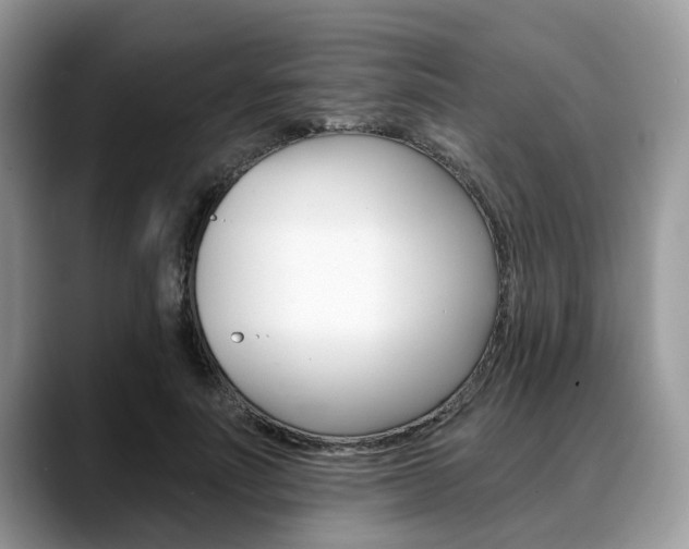 X0000088890691200706080807