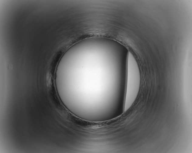 X0000088890692200706080807
