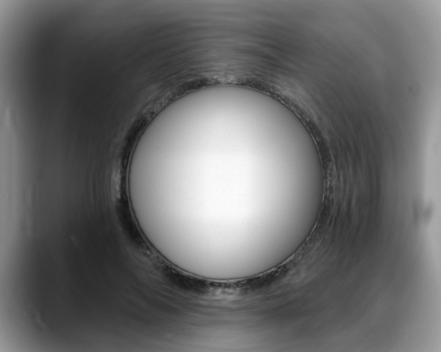 X0000088890694200706080807
