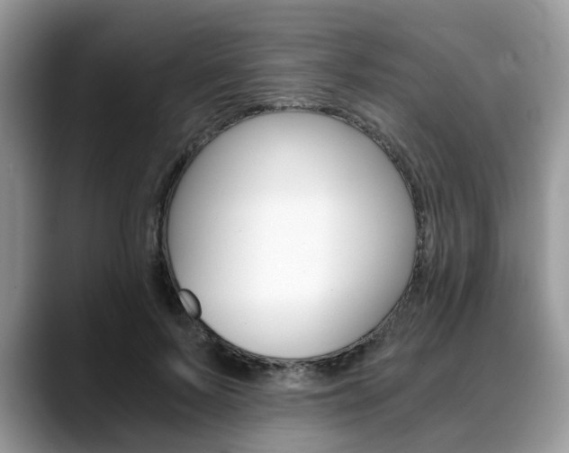 X0000088890695200706080807
