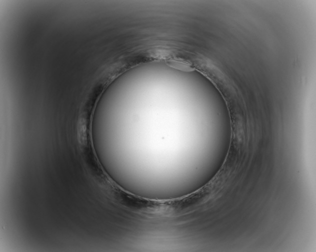 X0000088890696200706080807
