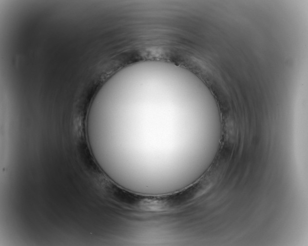 X0000088890699200706080807