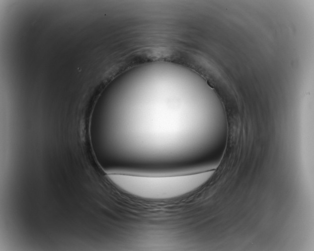 X0000088890700200706080807