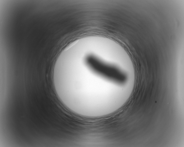 X0000088890701200706080807