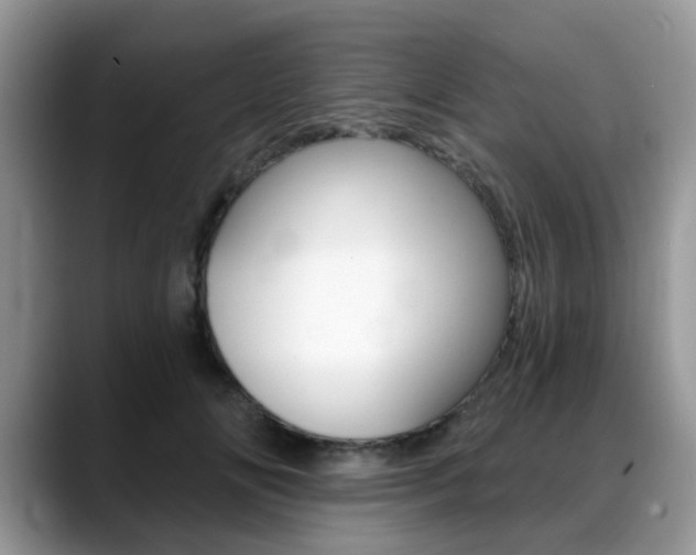 X0000088890702200706080807