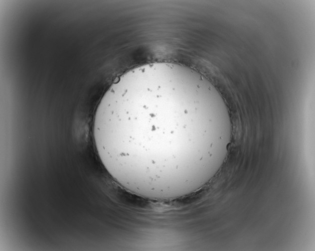 X0000088890703200706080807