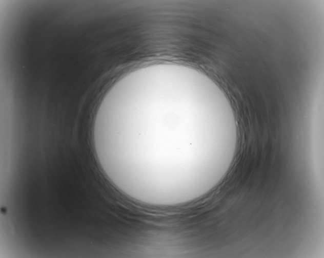 X0000088890705200706080807