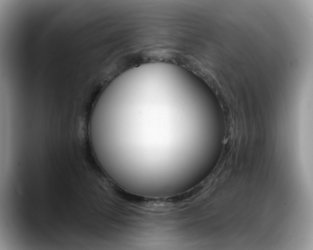 X0000088890708200706080806