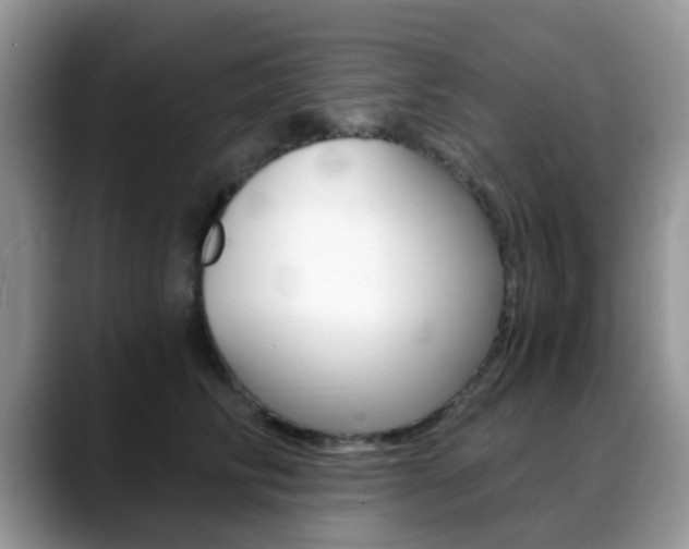 X0000088890710200706080806