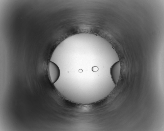 X0000088890711200706080806