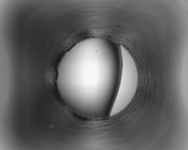 X0000088890712200706080806