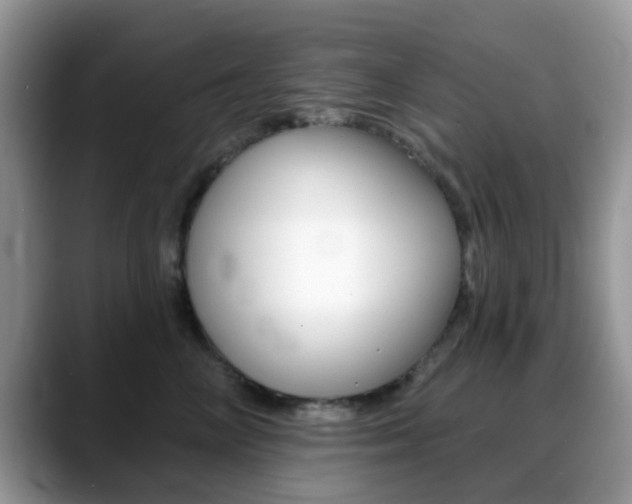 X0000088890714200706080806