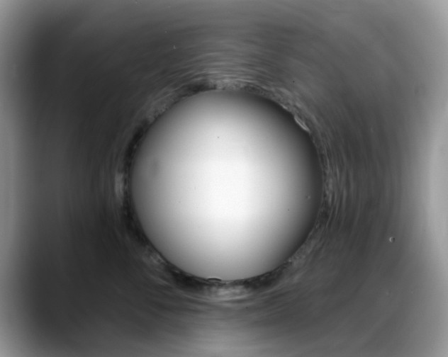 X0000088890716200706080806