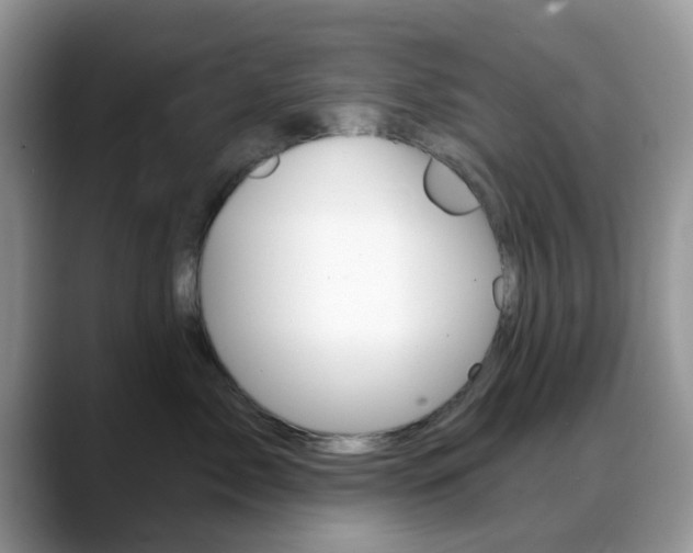X0000088890717200706080806