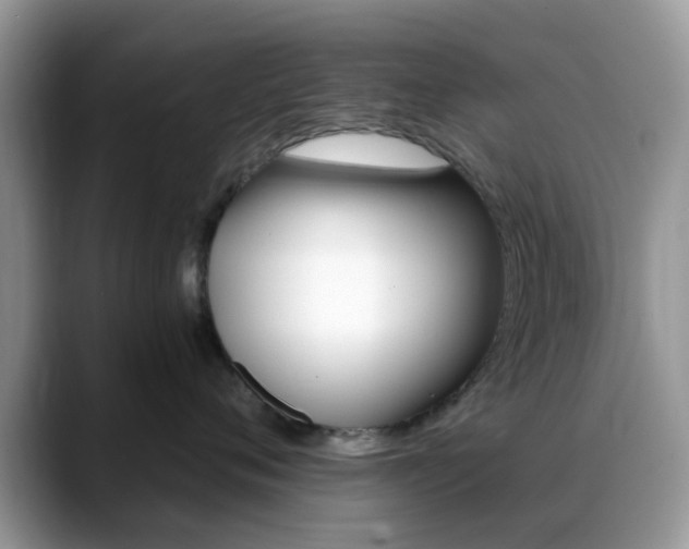 X0000088890720200706080806