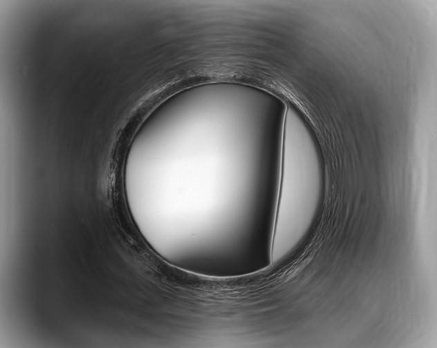 X0000088890723200706080806