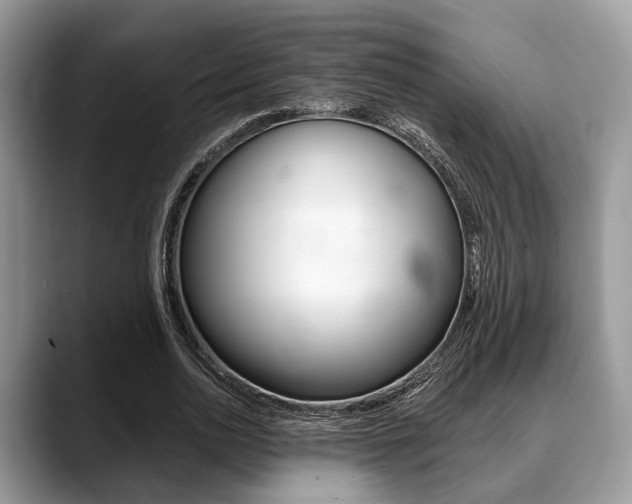 X0000088890726200706080806