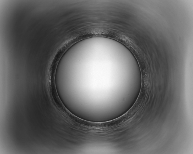 X0000088890727200706080806