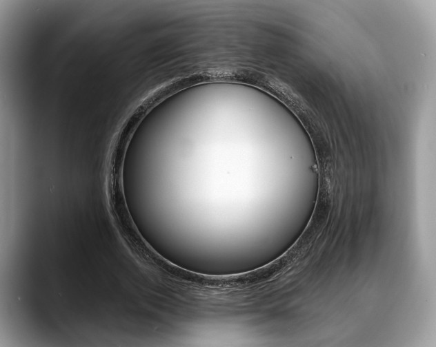 X0000088890728200706080806