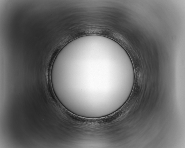 X0000088890729200706080806