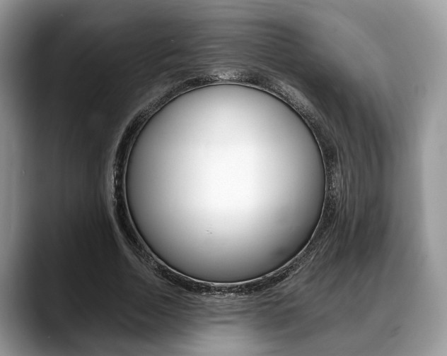 X0000088890730200706080806