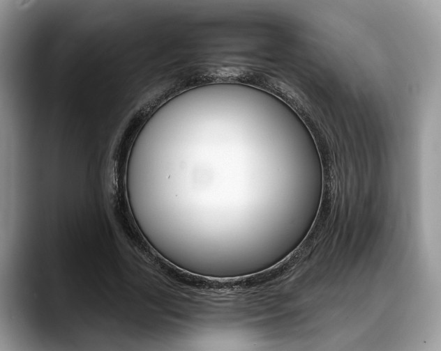 X0000088890731200706080806