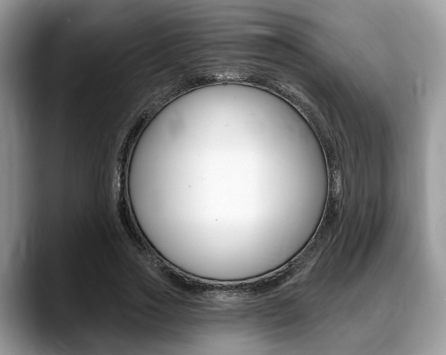 X0000088890733200706080806