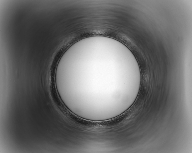 X0000088890734200706080806