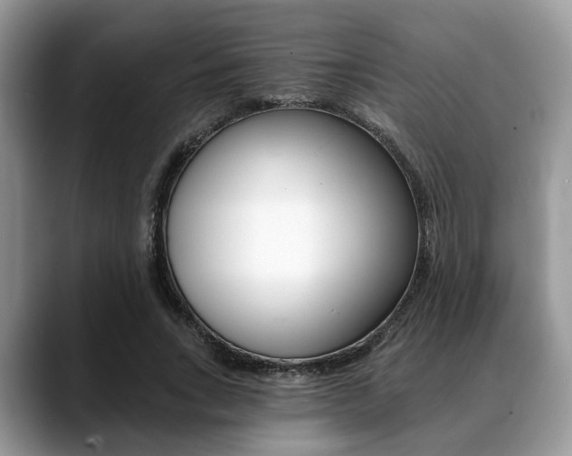 X0000088890735200706080806