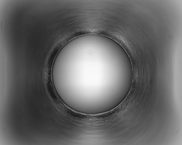 X0000088890736200706080806