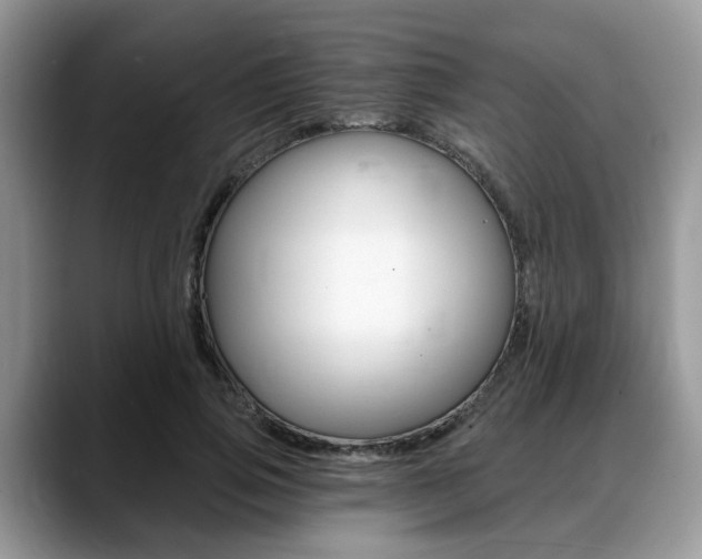 X0000088890741200706080806