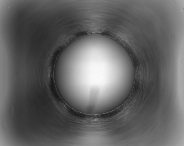 X0000088890742200706080806