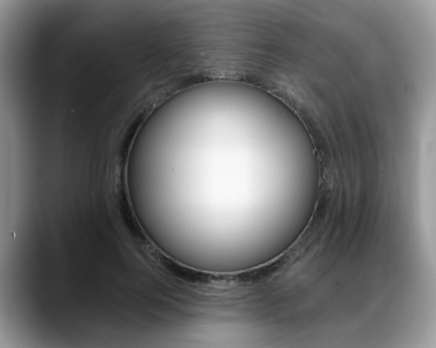 X0000088890744200706080806