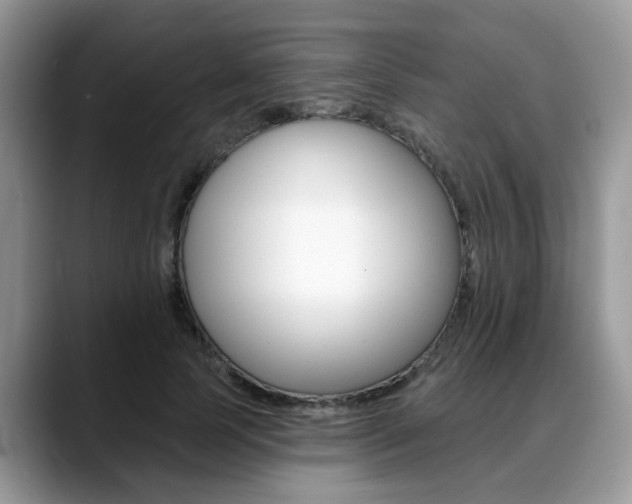 X0000088890745200706080806