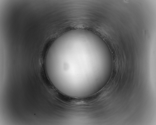 X0000088890747200706080806