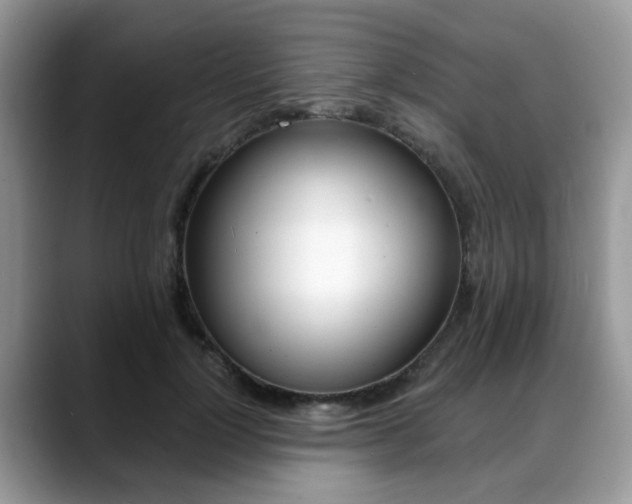 X0000088890748200706080806