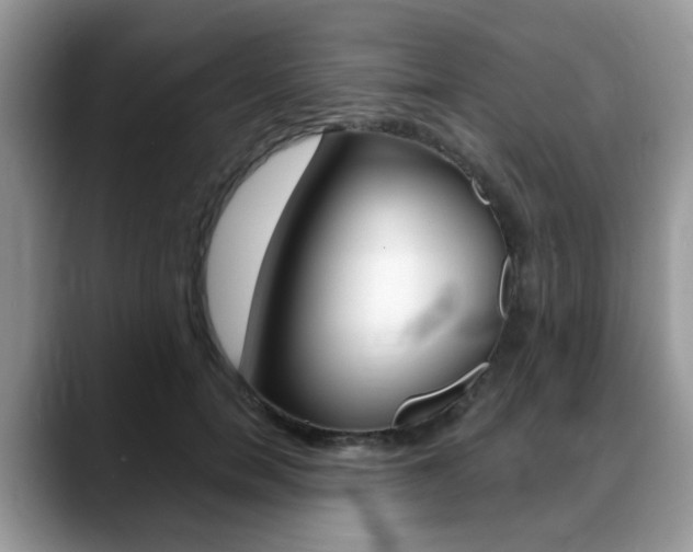 X0000088890750200706080806