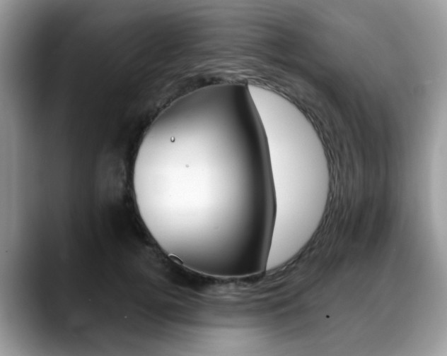 X0000088890752200706080806