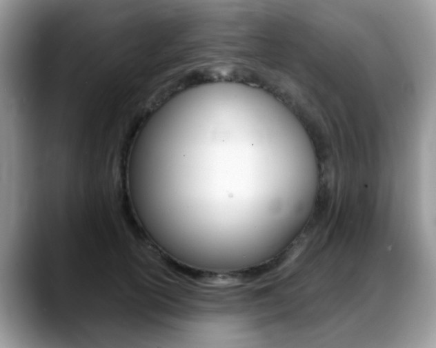 X0000088890754200706080806