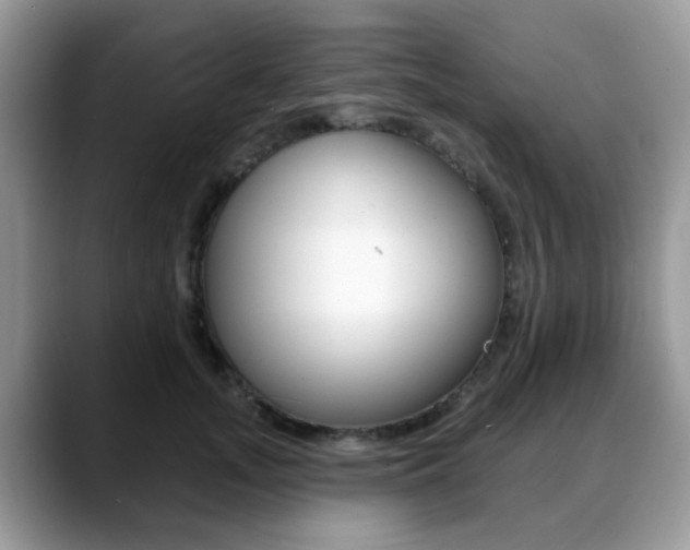 X0000088890755200706080806
