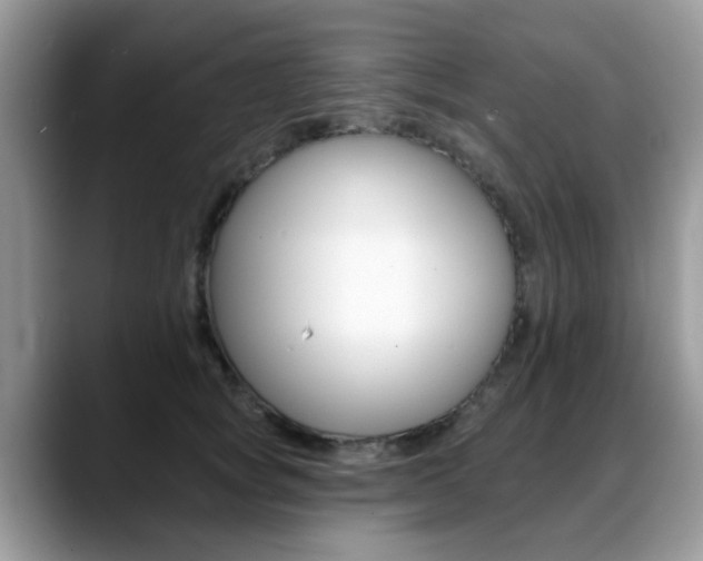 X0000088890757200706080806