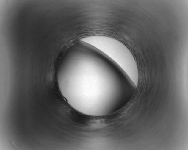 X0000088890760200706080806
